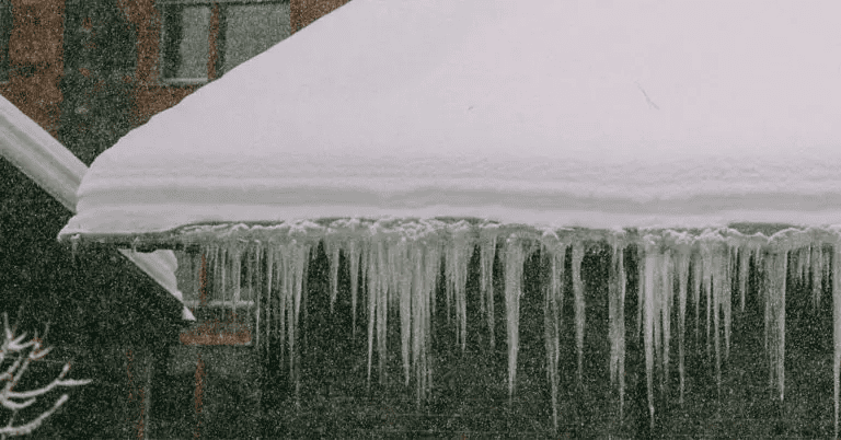 Gutter Maintenance Tips (Top 6 Must-Dos) 7 image 12
