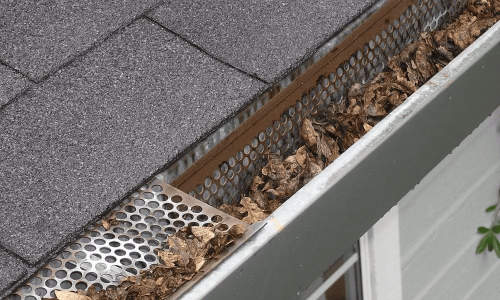 Gutter Maintenance Tips (Top 6 Must-Dos) 2 image 7