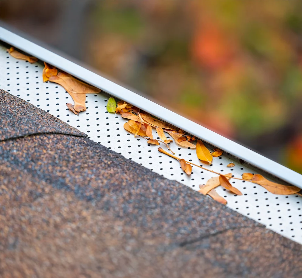 Gutter Guards 2 Leaves and debris collecting along a Chicagoland roofline
